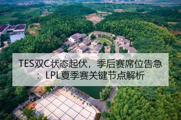TES双C状态起伏，季后赛席位告急：LPL夏季赛关键节点解析