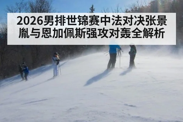 2026男排世锦赛中法对决张景胤与恩加佩斯强攻对轰全解析